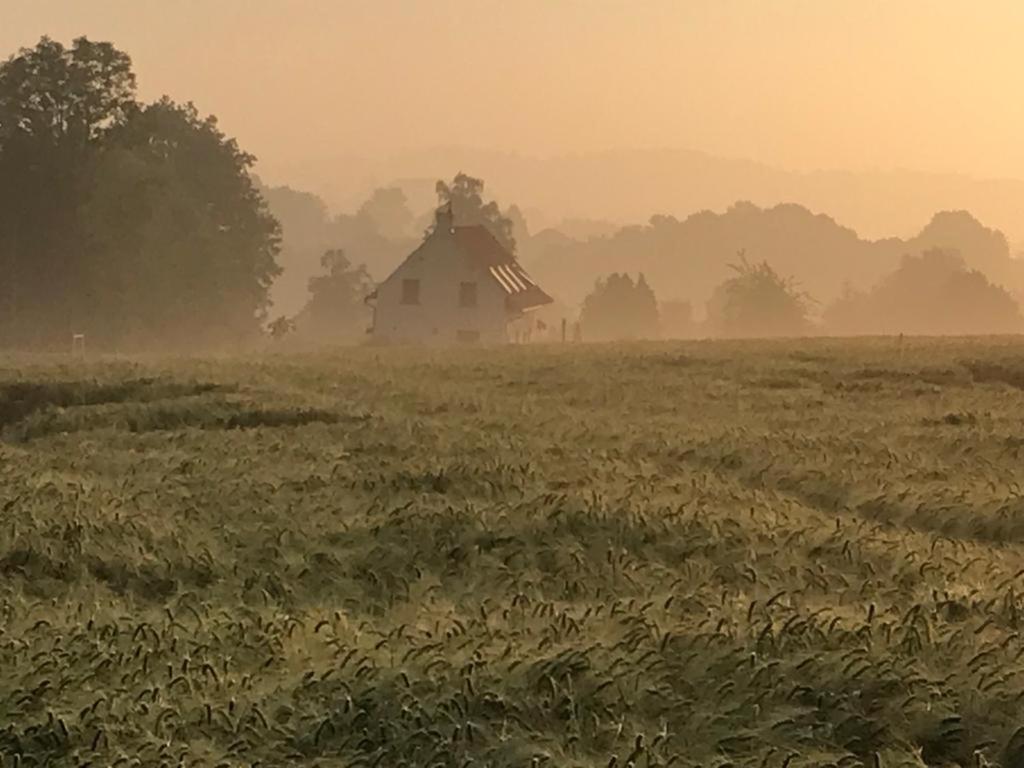 Kompas Gite Ellezelles Esterno foto